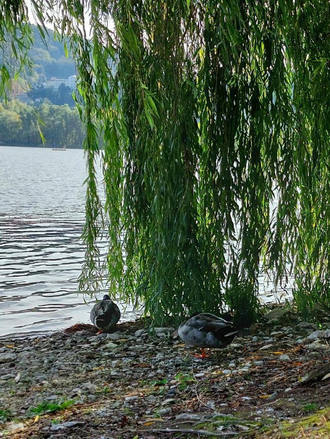 I Gelsi - Holiday Home Lago  외부 사진